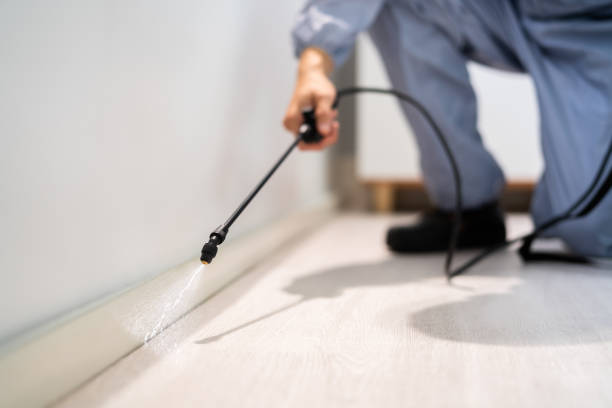 Licensed Cockroach Control service in Birmingham, MI - Nex Pest Control