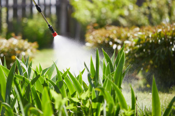 24/7 Emergency Cockroach Control experts in Birmingham, MI